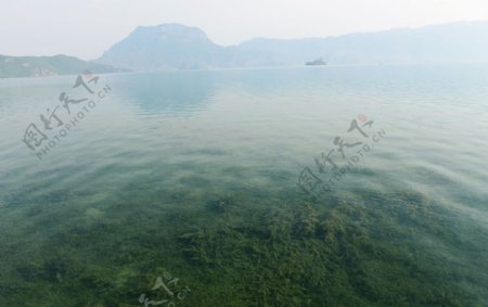 清澈的泸沽湖水图片