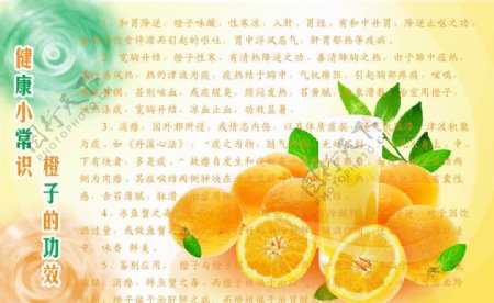 橙子宣传册图片