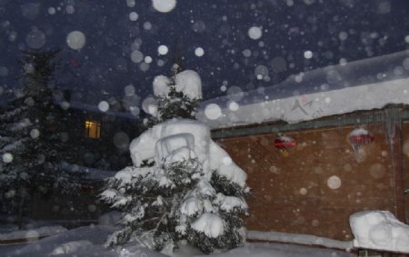 雪乡夜景图片