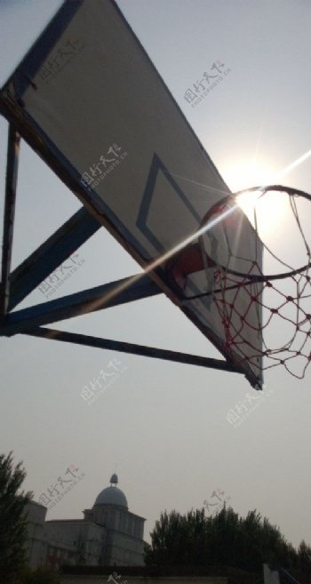 阳光下的篮球筐图片