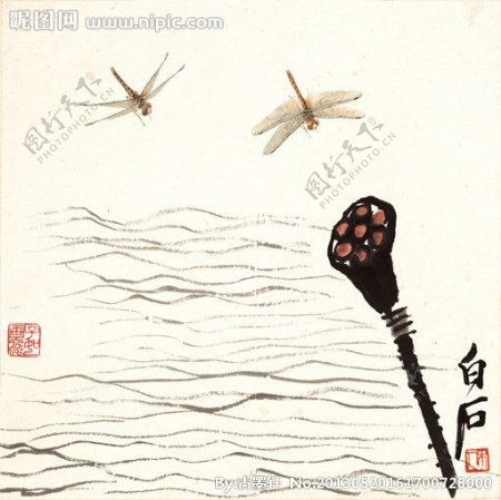 莲蓬蜻蜓图图片