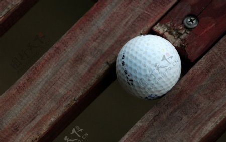 一颗高尔夫球图片
