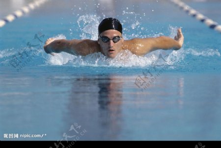 体育运动之游泳图片