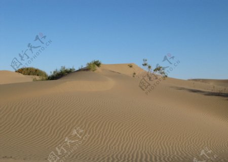 额济纳旗巴丹吉林沙漠图片