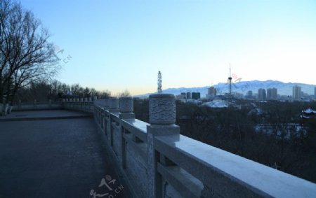 红山公园冬景图片