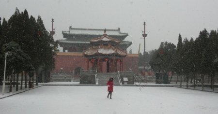 嵩山中岳庙雪景图片
