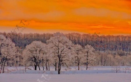 雪后黄昏图片