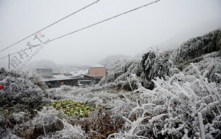冰雪村庄图片