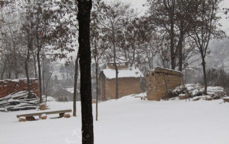 农村雪景图片