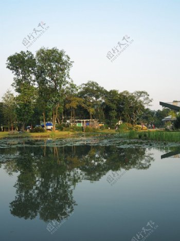 华南植物园风光图片