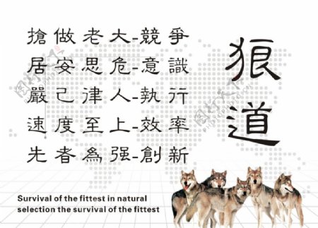 狼道企业文化图片