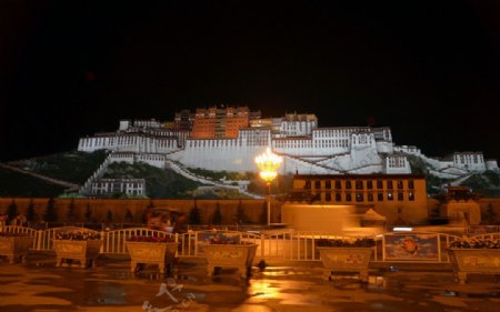 布达拉宫夜色图片