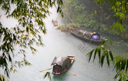 雨中小景图片