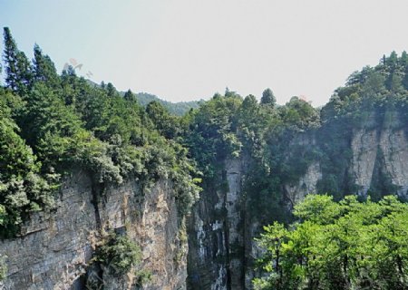 湖西风光图片