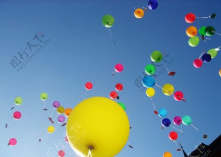 放飞彩色气球图片