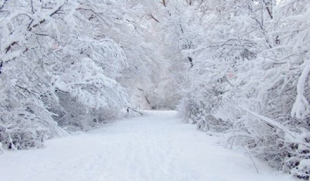 积雪道路图片