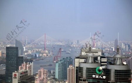 黄浦大桥图片