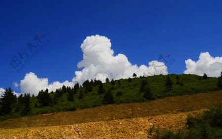 青藏高原风光图片