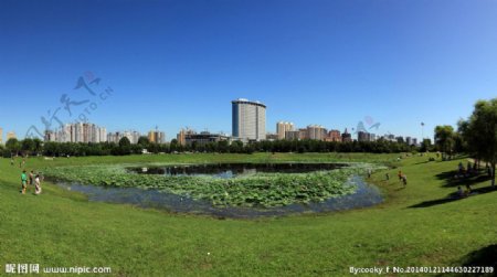 哈尔滨市政府人工湖图片