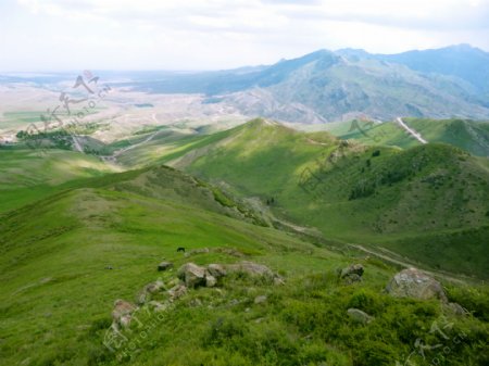 新疆大草原图片