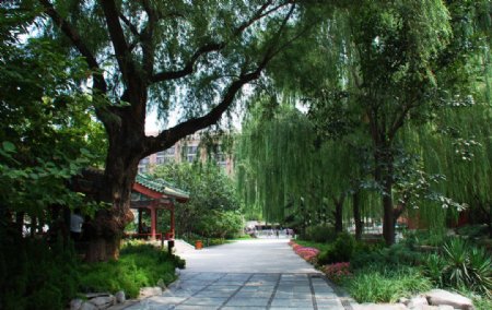 北京菖蒲河公园图片