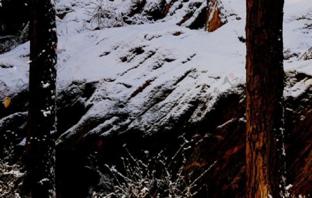 岩石上的雪图片
