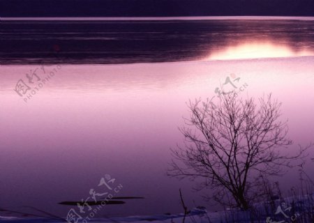 冬季夕阳风景图片
