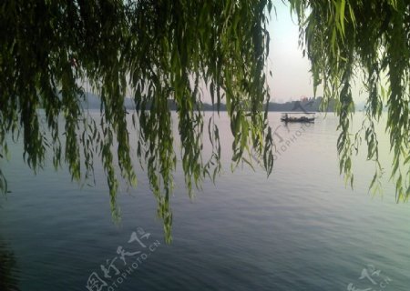 泛舟西湖图片