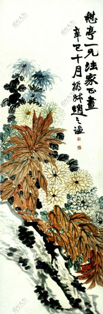 十月菊香图片