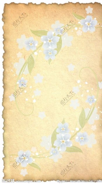 怀旧花卉信纸图片