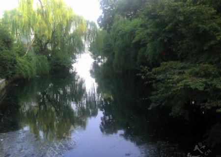 湖水绿树图片