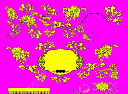 蟹笊菊蓝花坛图片