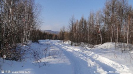 弯曲的林间雪路图片