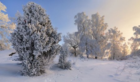瑞典冬季图片
