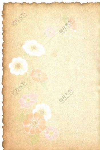 淡雅花卉信纸图片