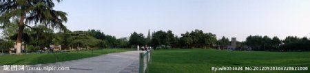 红梅公园大草坪图片