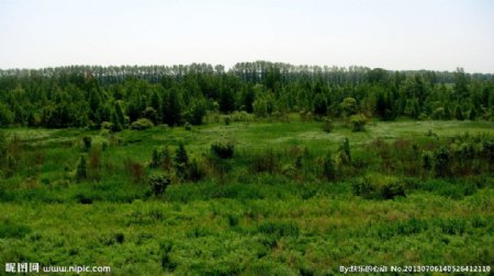 湿地保护区图片