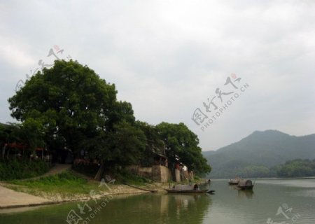 瓯江之畔图片