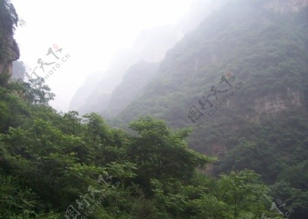 太行山郭亮青山绿树图片