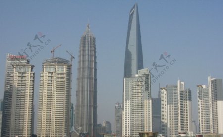 上海环球金融中心金茂图片
