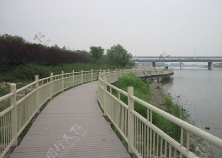 大桥河水图片