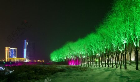 铁岭新城夜景图片