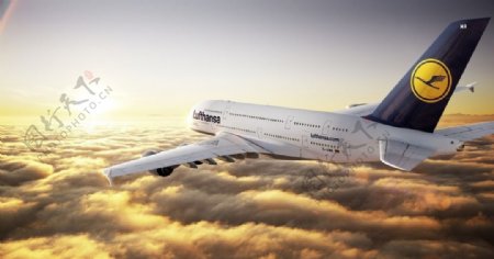 汉莎航空A380图片