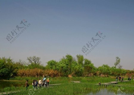 杭州西溪国家湿地公园图片