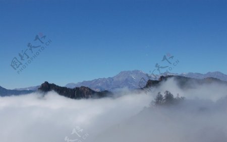 西岭雪山云海仙境图片