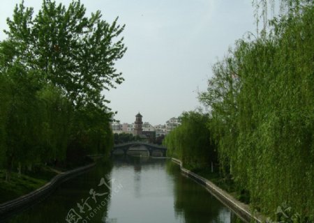 中清河畔图片