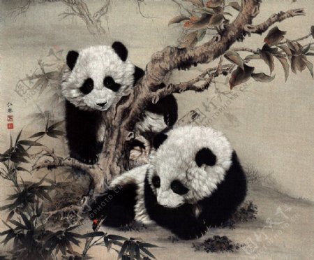 熊猫昆虫图片