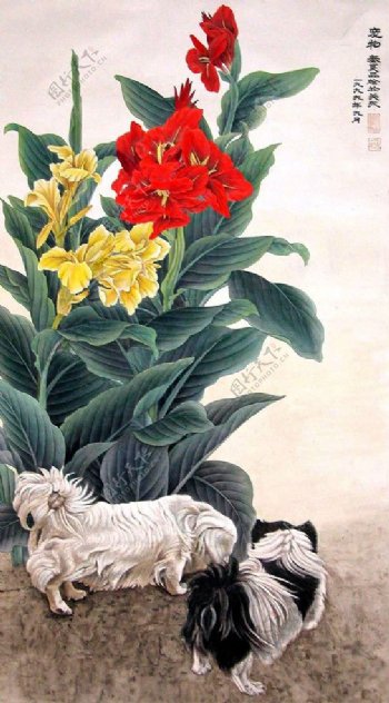 红花和小狗图片