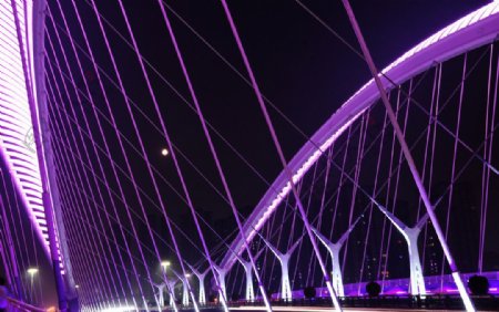 汾河桥图片