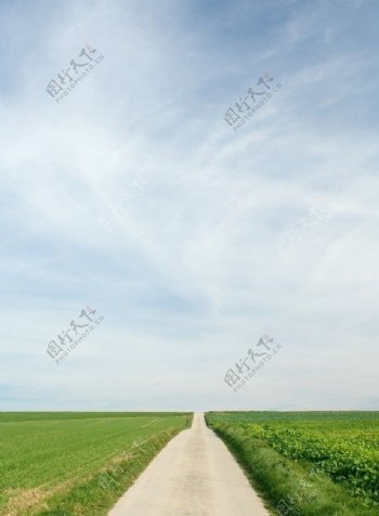 原野草原道路图片